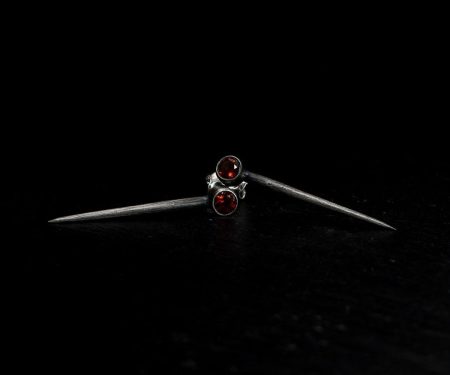 Aculeus1